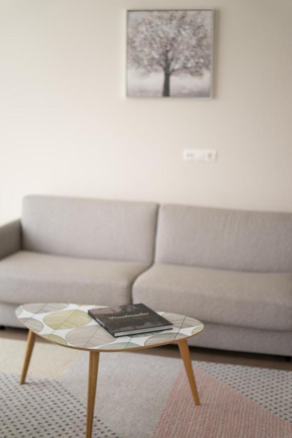 Apartment In Druskininkai City Centre 外观 照片